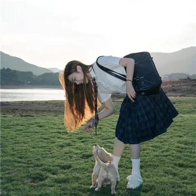 太空狗英雄
